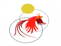 La fenice società cooperativa sociale - Associazioni di volontariato e di solidarietà - Imperia (Imperia)