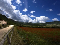 Agriturismo greenland country house - Agriturismo - Norcia (Perugia)