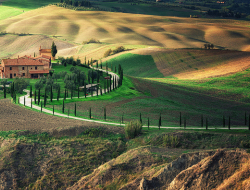 D'ettorre giorgio - Agriturismo,Azienda locale,Ristoranti - Sabaudia (Latina)