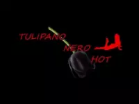 Tulipano nero hot sexy shop sexy shops
