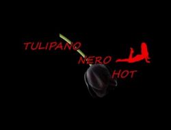 Tulipano nero hot sexy shop - Abbigliamento donna,Abbigliamento in pelle,Abbigliamento uomo,Biancheria intima ed abbigliamento intimo,Dvd e vhs vendita e noleggio,Sexy shops - San Donà di Piave (Venezia)