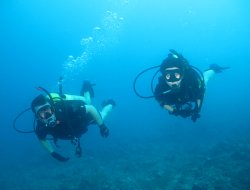 Salvi mar - Sport - attrezzature per subacquei (produzione e ingrosso) - Casarza Ligure (Genova)