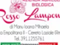 Opinioni degli utenti su AGRITURISMO BIO ROSSOLAMPONE