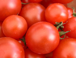 Trasformazione agroalimentare societa'' cooperativa a.r.l. - Cooperative produzione, lavoro e servizi,Frutta e verdura - Cerignola (Foggia)