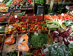 Cavoli vostri - Alimentari vendita,Frutta e verdura - Rosignano Marittimo (Livorno)
