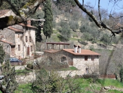 Fattoria il poeta - Agriturismo - Pontassieve (Firenze)