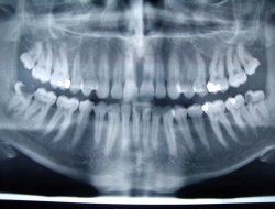 Manduca manrico alfonso - Dentisti medici chirurghi ed odontoiatri - Dinami (Vibo Valentia)
