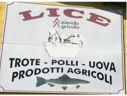 Azienda agricola lice di lice sandra - Agricoltura - attrezzi, prodotti e forniture - Valgrana (Cuneo)