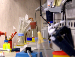 Evidence based medicine - Analisi cliniche - centri laboratori - Fasano (Brindisi)