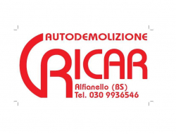 Ricar s.r.l. - Autodemolizioni,Ricambi e componenti auto commercio - Alfianello (Brescia)