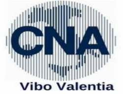 Confederazione nazionale artigiani - Associazioni sindacali e di categoria - Vibo Valentia (Vibo Valentia)