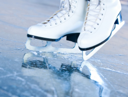 Patinoire - Sport - articoli - Milano (Milano)