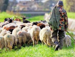 Confederazione italiana agricoltori associazione troina - Associazioni ed istituti di previdenza ed assistenza,Associazioni sindacali e di categoria - Troina (Enna)