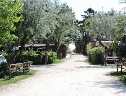 Camping reno - Campeggi, ostelli e villaggi turistici - Ravenna (Ravenna)
