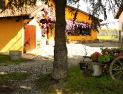 Cascina la maddalena - Cantine,Agriturismo,Bed & breakfast - Rocca Grimalda (Alessandria)