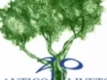 Opinioni degli utenti su Ristorante Antico Uliveto
