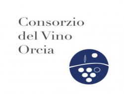 Cooperativa vinicola consorzio di tutela del vino a denominazione di origine orcia - Consorzi,Vini e spumanti - produzione e ingrosso - Castiglione d'Orcia (Siena)