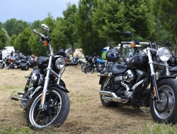 Italian bike week - Alimenti regionali e tipici,Motocicli e motocarri - produzione - Tuoro sul Trasimeno (Perugia)