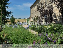 Vivai manfrica - Vivai piante e fiori - San Severino Marche (Macerata)