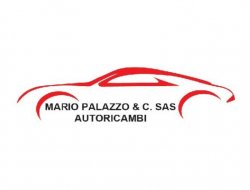 Mario palazzo & c. s.a.s. autoricambi - Ricambi e componenti auto commercio - Foggia (Foggia)