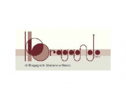 Bragagnolo s.n.c. di bragagnolo mariano e marco - Falegnami - Piombino Dese (Padova)