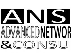 Advanced network solutions & consulting - Web design - Pisa (Pisa)
