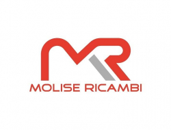 Molise ricambi di tamburri antonio e c. snc - Elettrauto - Bojano (Campobasso)