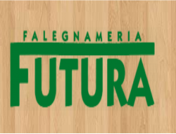 Falegnameria futura - Serramenti ed infissi legno - Modena (Modena)