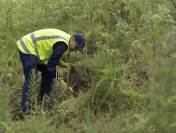 Coradai srl - Aree verdi - progettazione,Lavori agricoli e forestali - Valdaone (Trento)