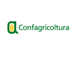 Confagricoltura matera s.r.l. - Associazioni sindacali e di categoria - Matera (Matera)