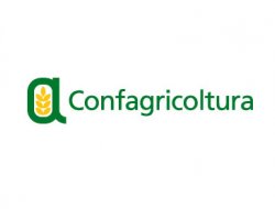 Confagricoltura matera s.r.l. - Associazioni sindacali e di categoria - Matera (Matera)