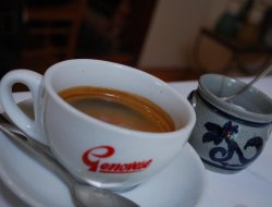 Zampieri benvoglio e c. snc - Bar e caffè,Ristoranti - trattorie ed osterie,Tabaccherie - Bovolenta (Padova)