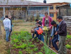 Associazione oikos - Associazioni di volontariato e di solidarietà - Roma (Roma)