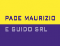 Pace maurizio & guido srl - Fonderie pressofusione - Preseglie (Brescia)
