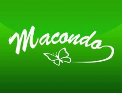 Macondo caffè - Locali e ritrovi - birrerie e pubs - Viareggio (Lucca)