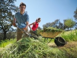 Risoluti paola tutto per l'agricoltura - Agricoltura - attrezzi, prodotti e forniture - Soriano nel Cimino (Viterbo)