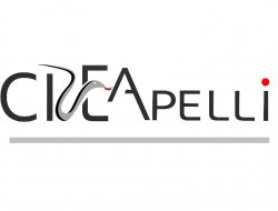 Creapelli s.r.l. - Pelli e pellami - produzione e commercio - Fucecchio (Firenze)