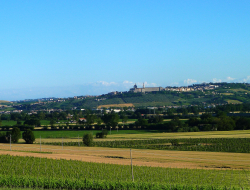 Associazione laicale eucaristica riparatrice della provincia picena dei frati minori - Associazioni di volontariato e di solidarietà - Loreto (Ancona)