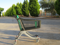 Supermercato f.lli panici s.n.c. - Alimentari - prodotti e specialità - Amaseno (Frosinone)