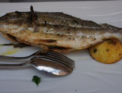 Perra fabrizio - Pescherie - Oristano (Oristano)