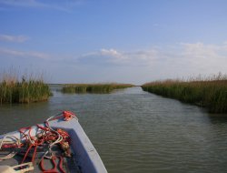 Belloni giuseppe - Agriturismo - Ariano nel Polesine (Rovigo)