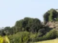Opinioni degli utenti su Cantine Aliani