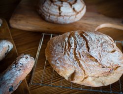 Forno moro dei f.lli moro brunone umberto e antonella snc - Pasticcerie e confetterie - Terracina (Latina)