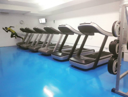 A.s.d. evolution fitness - Palestre - Riano (Roma)