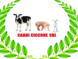 Carni ciccone - Carni fresche e congelate - lavorazione e commercio - Ercolano (Napoli)