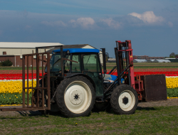 Mg servizi tecnici societa' a responsabilita' limitata semplificata - Macchine agricole - produzione - Pergola (Pesaro-Urbino)