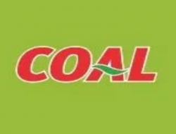 Coal muccia - Supemercati, grandi magazzini e centri commerciali - Muccia (Macerata)