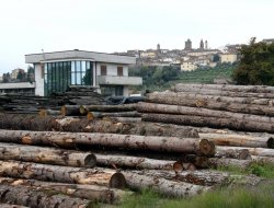 Fratelli nanni snc di nanni a.&c - Segherie - Monte San Savino (Arezzo)