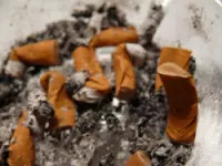 Bosco raffaele tabaccherie