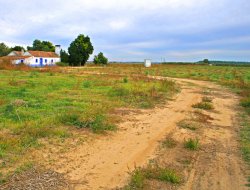 La serra societ? cooperativa agricola - Agricoltura - attrezzi, prodotti e forniture - Celano (L'Aquila)